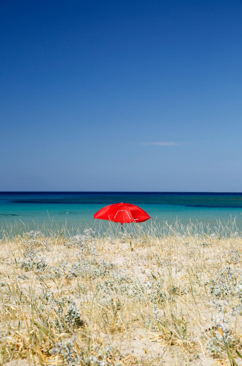 Explore the Best Secret Beaches of Rhenia Island