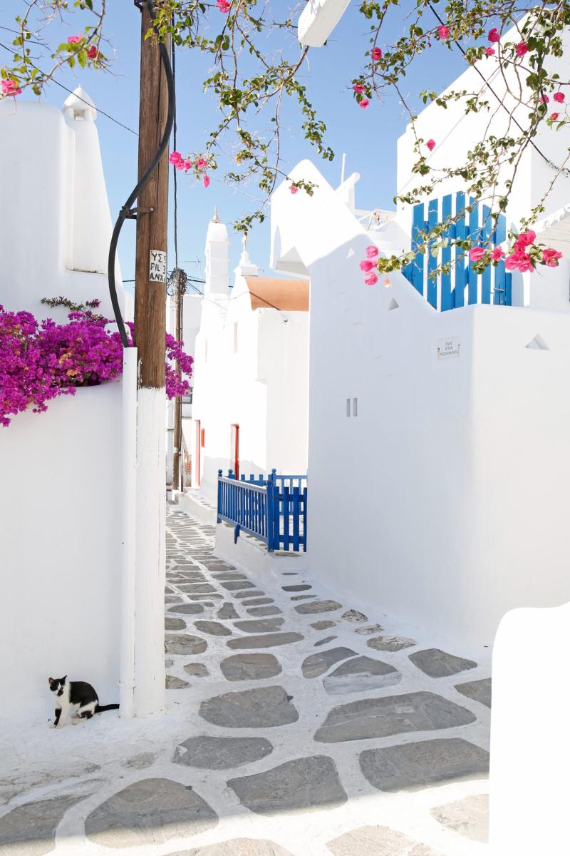 Charming narrow streets of Mykonos Town lined with white houses and blue doors.