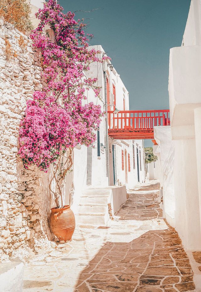 Charming stone-paved alley in Sifnos, lined with whitewashed houses and colorful flowers